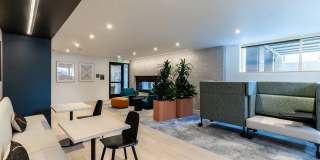 AMLI 535 AMLI 535 Gallery 29