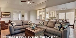 38299 Delacour Drive Gallery 1