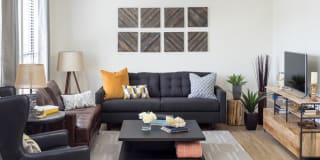 Gunbarrel Center Gallery 11