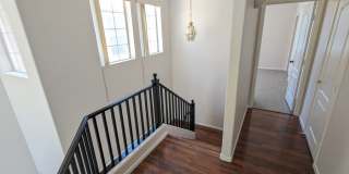9901 Trailwood Drive Gallery 20