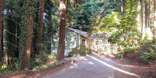 Pet-Friendly AMAZING Home Close To Town, Yet Private And Peaceful! Gallery 1