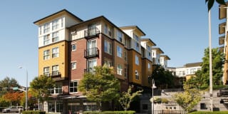 Avalon Bellevue Gallery 28