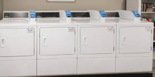 Driftwood Village Gallery 29