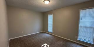 2295 Carrollwood Lane Gallery 15