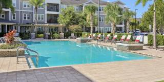 The Lotus at Starkey Ranch Gallery 26