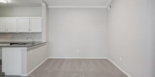 Carrington Park Gallery 61