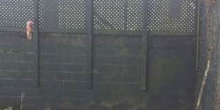 1731 AMELIA ST, New Orleans, LA 70115 Gallery 12