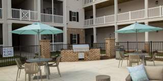 Waterleaf at Murrells Inlet Gallery 24