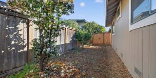 663 Spring Lane Gallery 24