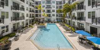 Society Westshore Apartments Gallery 18