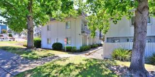2515 Merrychase Dr Gallery 38