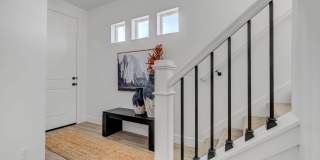 Mt. Rainier Gallery 18