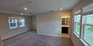 14768 FIELD DAISY Drive Gallery 41