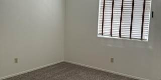 2946 W Ring Tail Drive Gallery 26