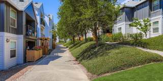 Sunnyside Village Gallery 29