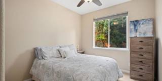 4029 Alamo Ct Gallery 15