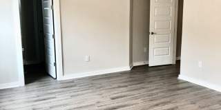 Spacious open floorplan with lots of light Gallery 20