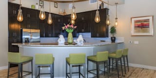 Roots at Waco Gallery 34