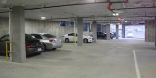 Yancey Street Gallery 15