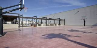 The Tree Apartments Gallery 14