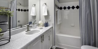 Cavalier @ 100 Gallery 23