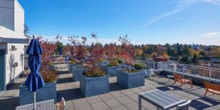 Square One Apartments Gallery 1