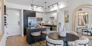 Tortoise One Gallery 2