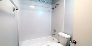 Summer Woods Gallery 23