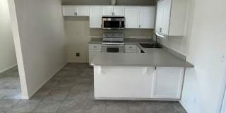 3BR 2Ba Remodeled with Yard and Garage Gallery 7