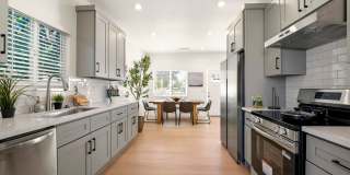 Showing Times: Every Tuesdays  Thursdays 3:30PM - 4:30PM Gallery 1