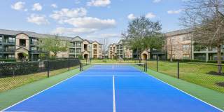 Barron Park Gallery 14