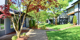 Tessera Apartments Gallery 16