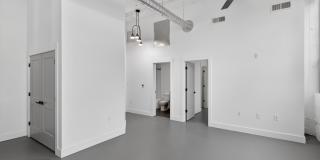 Plant 64 Gallery 58