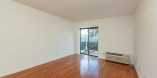 5 Linden Street Gallery 4