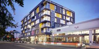 The Linden Gallery 29