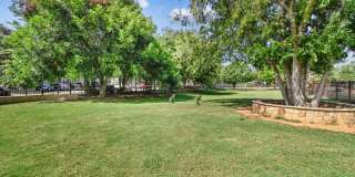 The Canyons Gallery 43