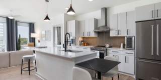 Starlight Gallery 29