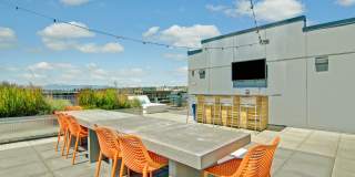 Vive Ballard Gallery 21