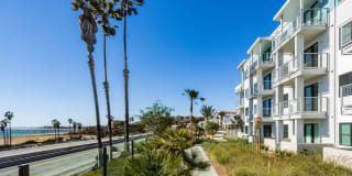 Coastline Ventura Gallery 20