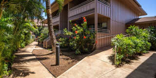 Fully Furnished, 1 Bed/1 Bath, Kihei Bay Vista with Pool Fully Furnished, 1 Bed/1 Bath, Kihei Bay Vista with Pool Gallery 31