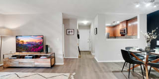 TGM Park Meadows Gallery 12