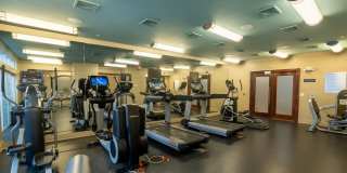 Mosaic at Metro Gallery 28