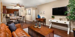 Ascend2300 Gallery 6