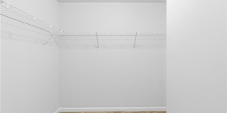 360 Paulownia Circle Gallery 37