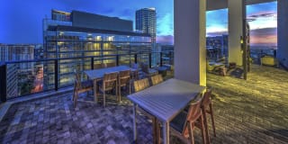 Novo Las Olas Gallery 44