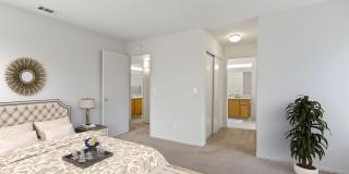 Lakeshore Apartments Gallery 17