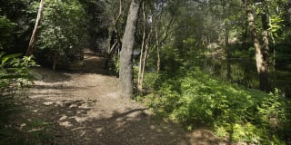 Retreat at Barton Creek Gallery 18