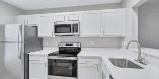 Timber Ridge Gallery 1