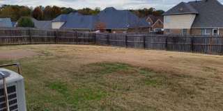 8898 Rasco Hills Cv Gallery 4