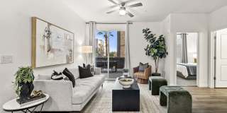 The Aster at Mountain Vista - BRAND NEW Gallery 7